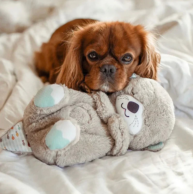 Breathing Teddy Bear🧸