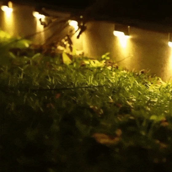 Stair Deck Solar Light