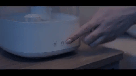 Rain Cloud Diffuser Humidifier
