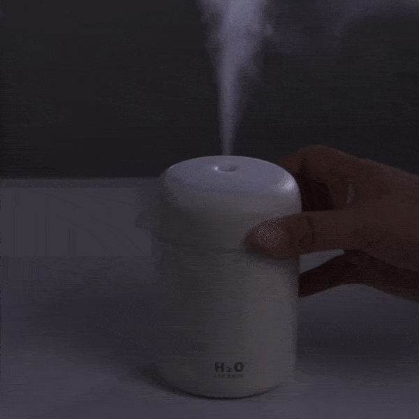 H2O Humidifier Aroma Diffuser